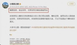 每天更新 瓜在体育圈是什么意思,揭秘每日热点事件背后的真相