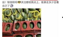 吃瓜网 爆料盒子,揭秘娱乐圈最新热点事件